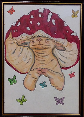 Toadstool Keeper; enjoying the Rainbow Butterflies by Hollie DeZwart Age 11 yrs